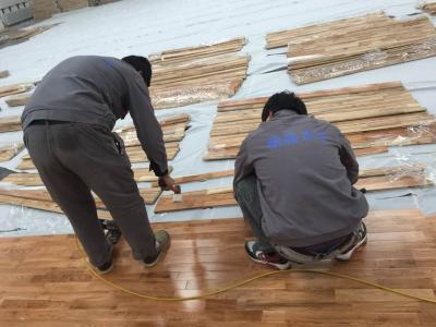 蜜桃视频APP网站入口定製